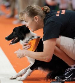 Caroline Faure and Bristol wait to retrieve the tee at a football game. Photo: Cody Fowers