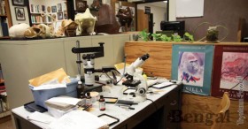 Professor Jeff Meldrum’s office, located Room 308 in Gale Life Science building.