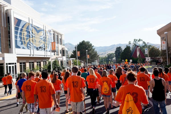 The cost of the the Bengal eyes on the Rendezvous is estimated to cost $8,000. 