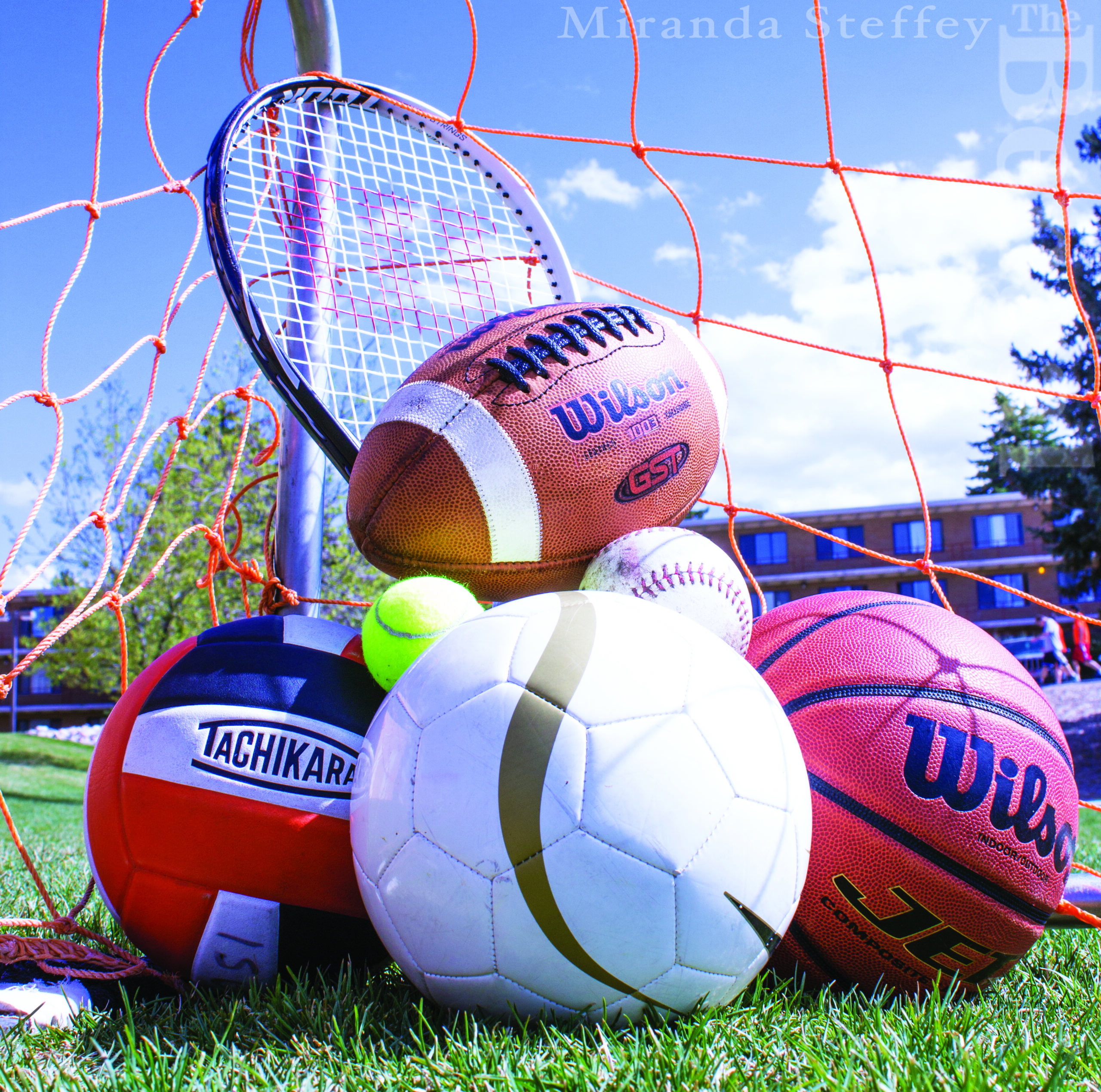 Collegiate athletes of all types have felt the effect of the amateurism rule.