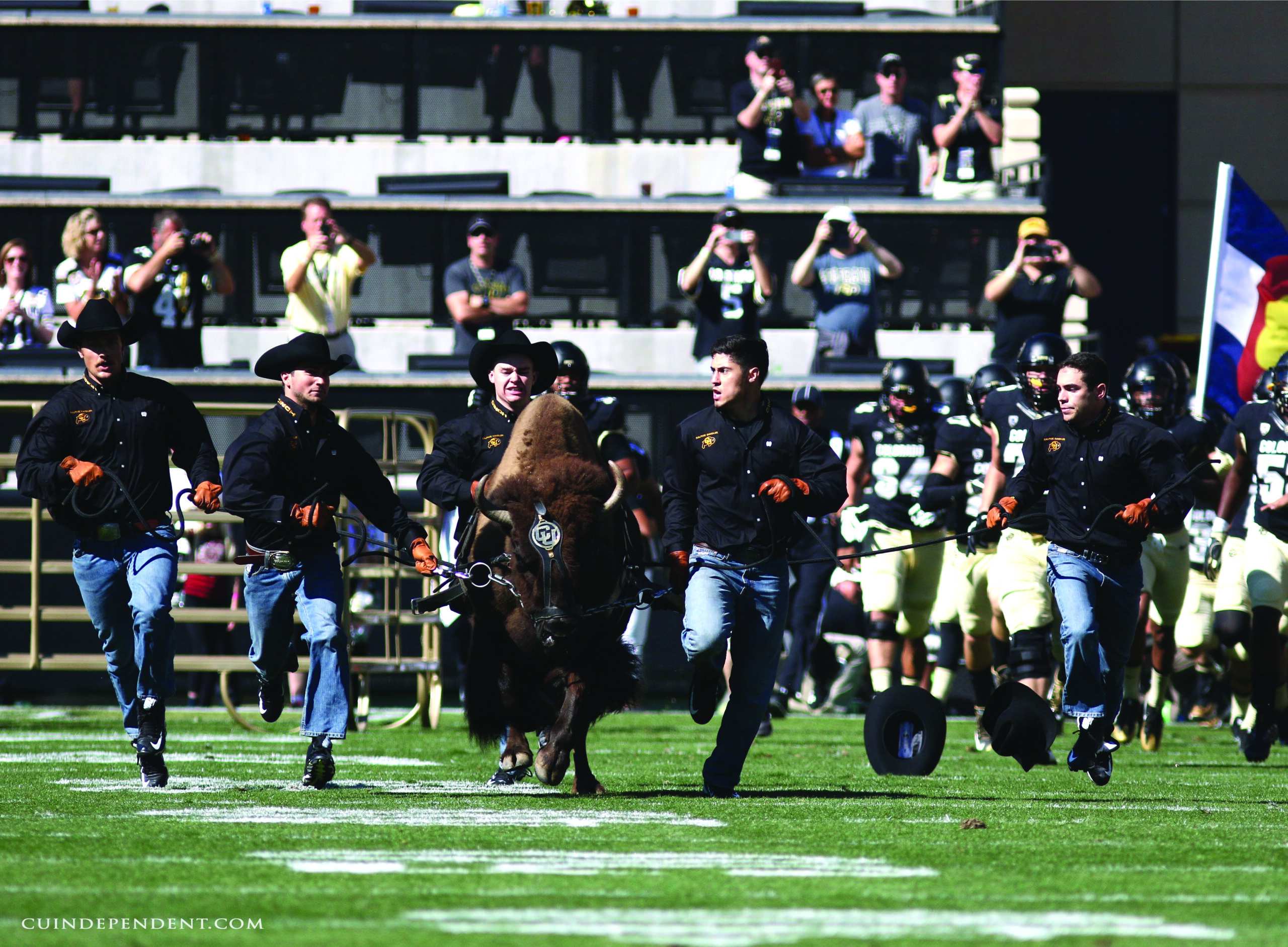 Colorado Buffalos