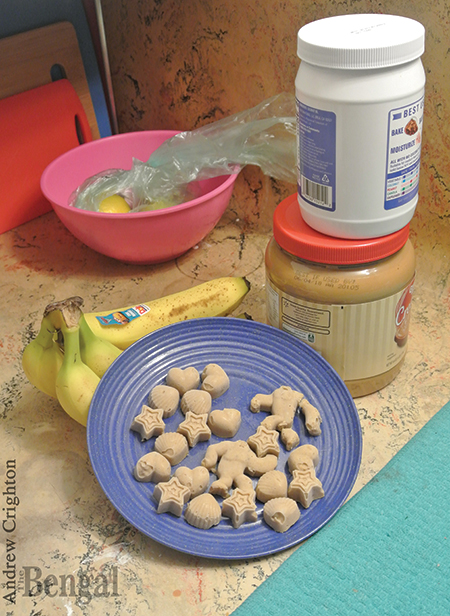 Homemade dog treats on a dish.