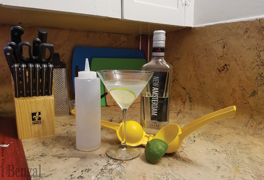 Gimlet cocktail and ingredients.