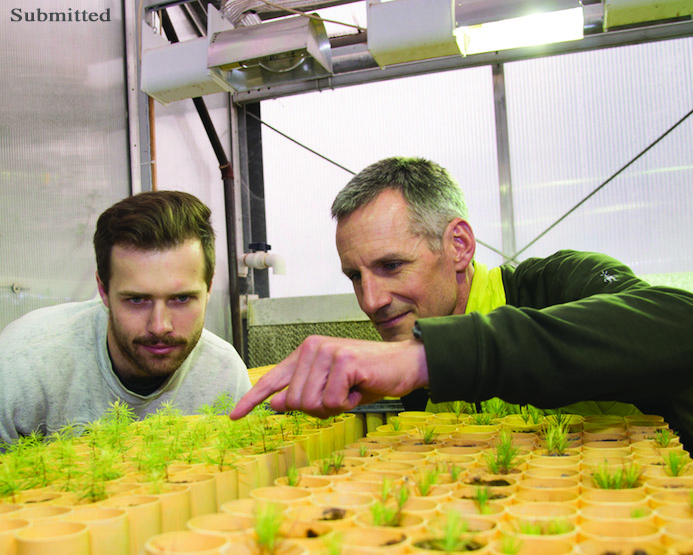 Keith Reinhardt and student inspecting saplings.