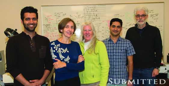 Group of five project collaborators