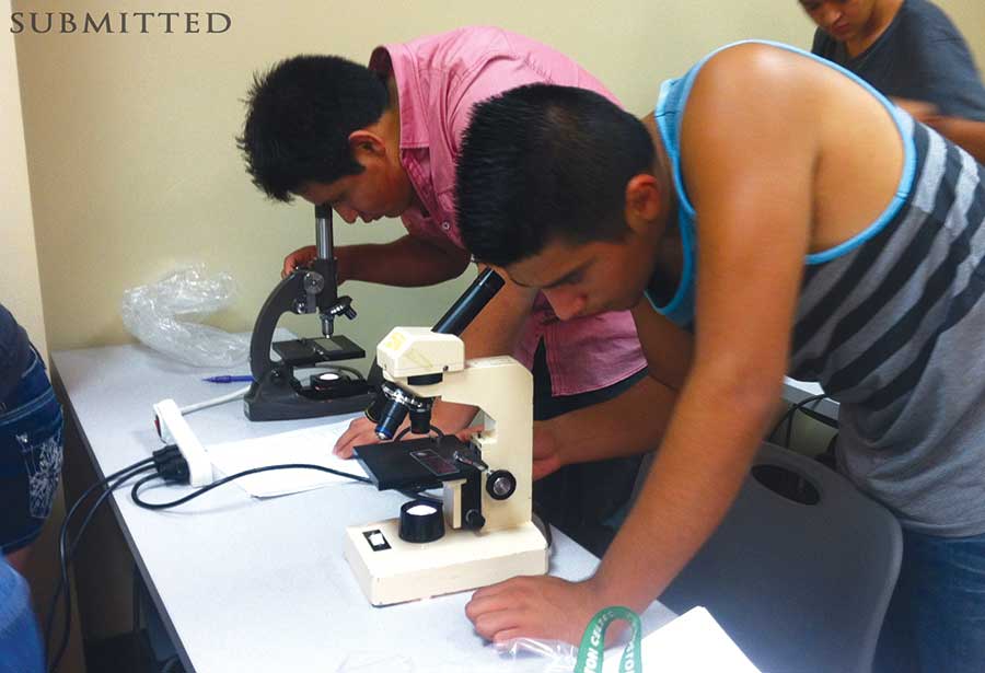 Two students looking through microscopes