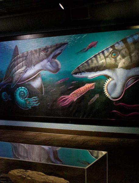 Painting of sharks from shark exhibit.