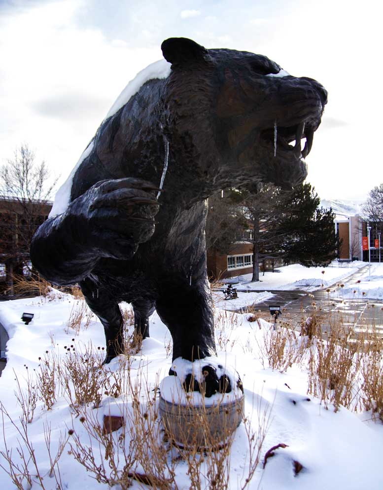 Bengal state outside the PSUB covered in snow