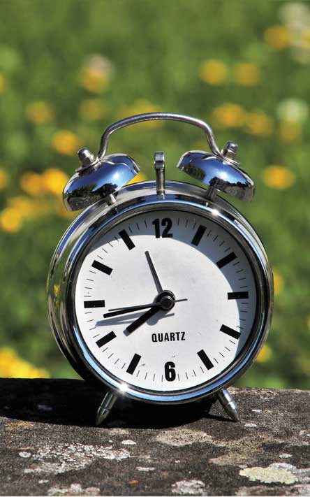 Analog alarm clock sits on rock outside