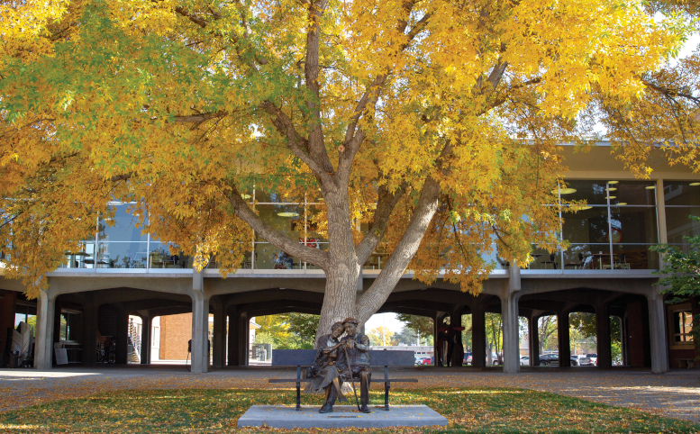 Bronze statue of older couple on the Quad. Tree behind it is turning yellow and dropping leaves.