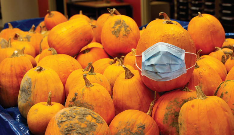 Pile of pumkins with one sitting up on the top "wearing" a blue surgical mask.