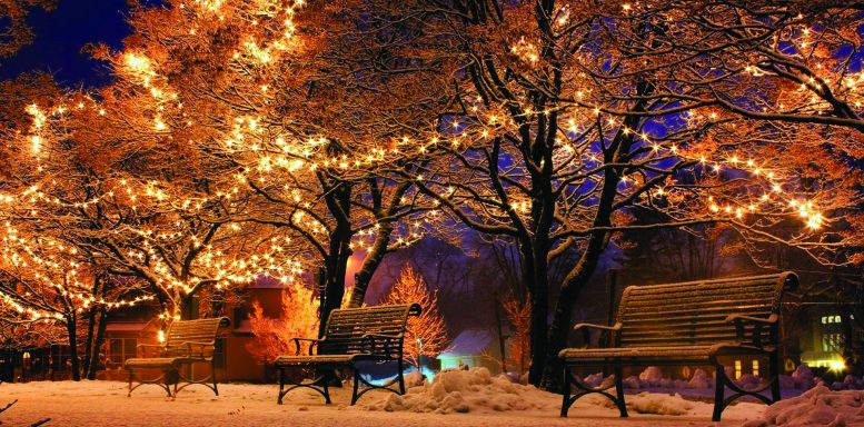 Snowy benches under snowy tress with fairy lights strung at night