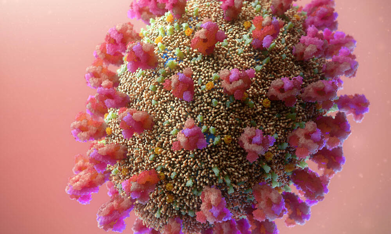 COVID-19 virus illustration