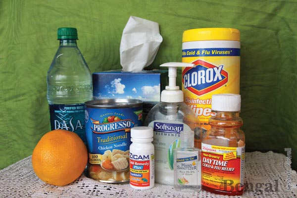 What to Do about the Flu