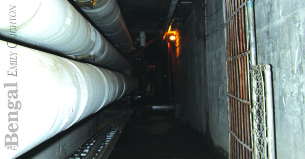 What Big Tunnels You Have