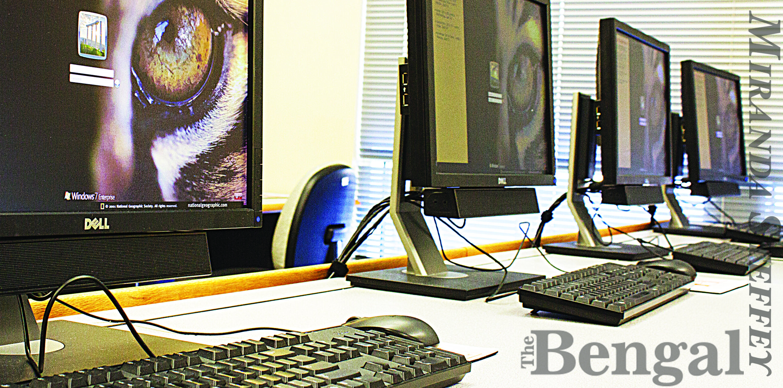 SCAMMERS PHISH FOR PERSONAL INFORMATION