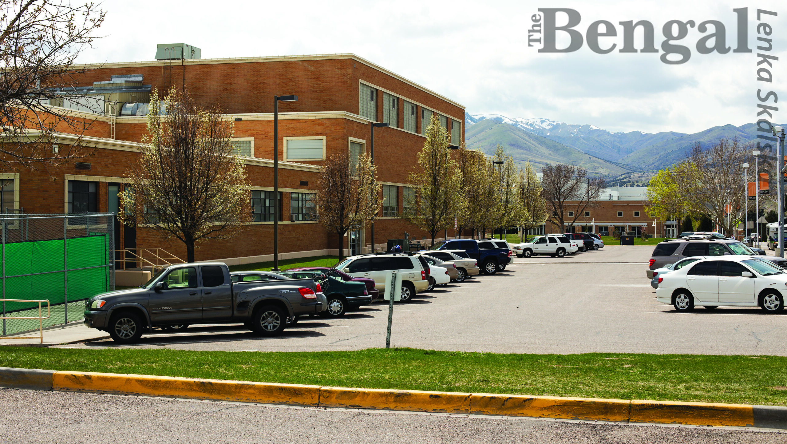 Bengal Reed Reed Gym – The Bengal