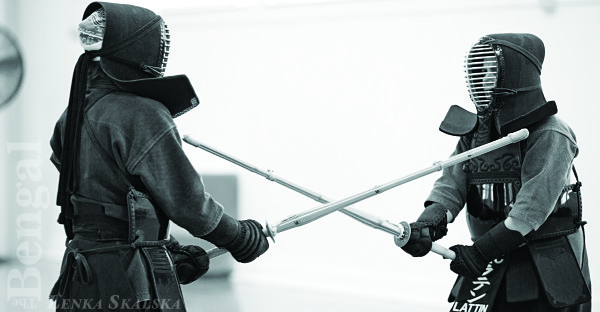 THE WAY OF THE SWORD