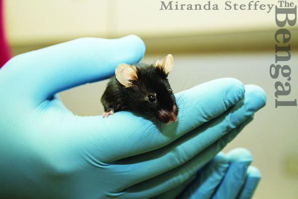 ISU TO CONDUCT RESEARCH WITH NASA