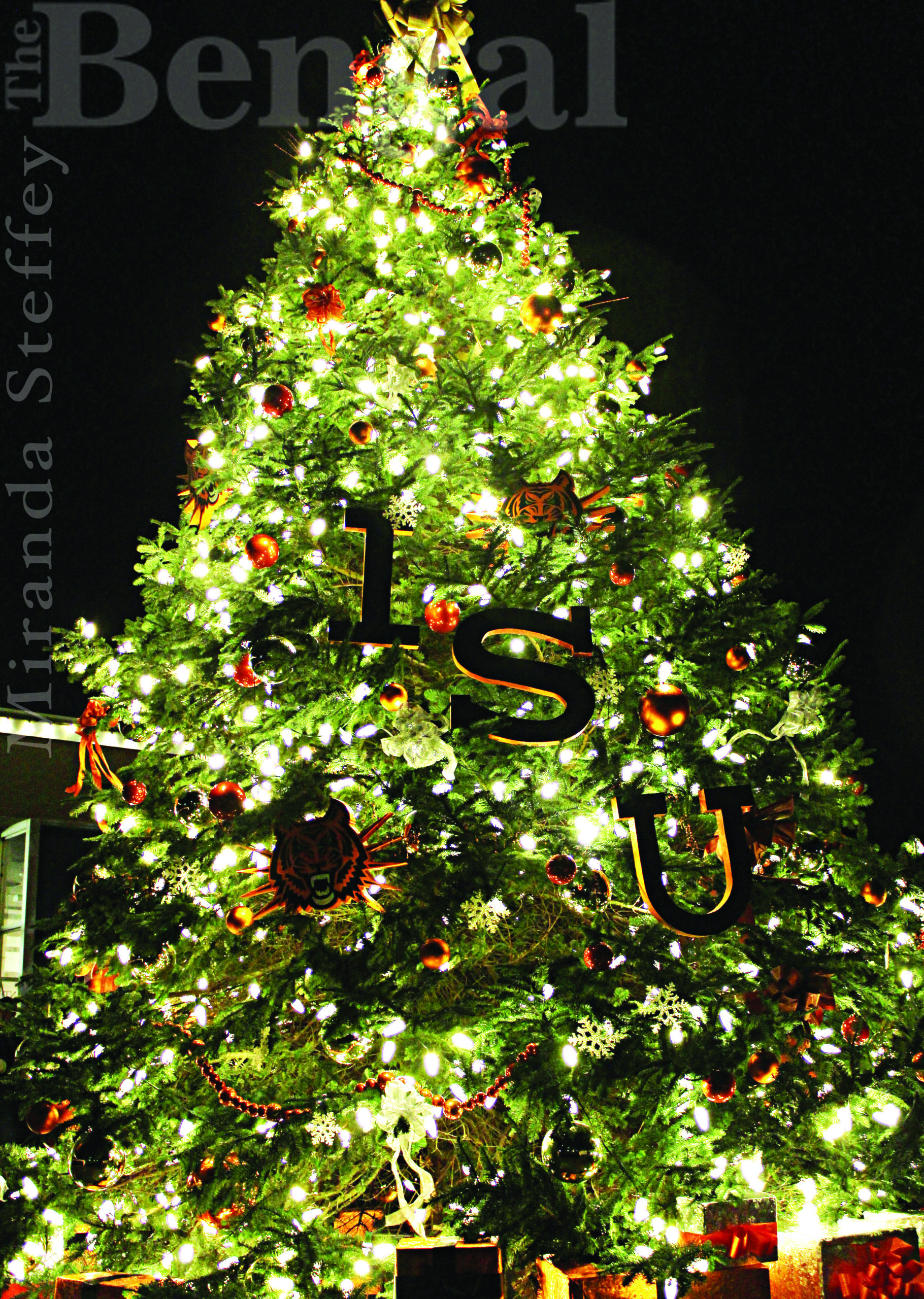 TREE LIGHTING FESTIVAL RETURNS: ACTIVITIES AVAILABLE FOR THE WHOLE FAMILY