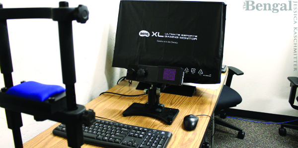 BRIDGING THE GAP BETWEEN SOCIAL SCIENCES AND FINE ARTS