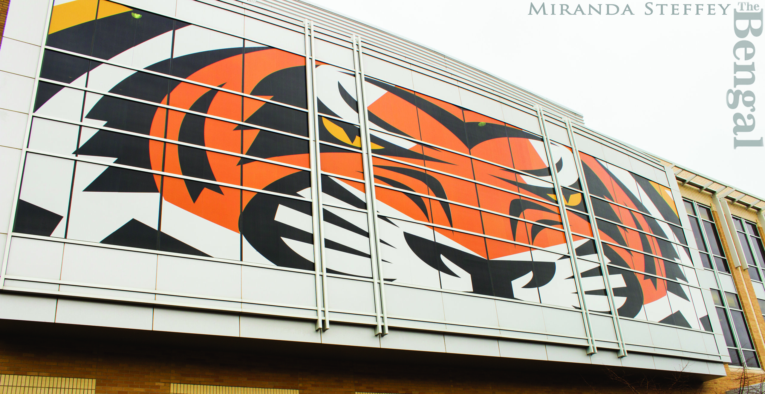 BENGAL-EYE-ZING THE RENDEZVOUS