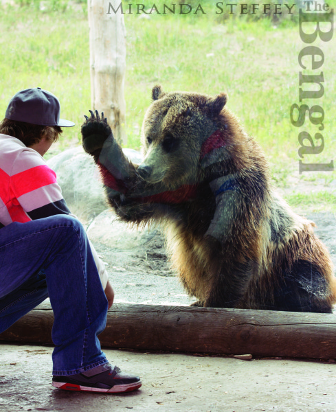 NEW OPPORTUNITIES ON THE HORIZON FOR LOCAL ZOO