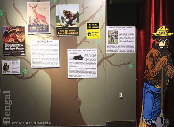 NATURAL HISTORY MUSEUM OPENS ‘HOT’ NEW EXHIBIT