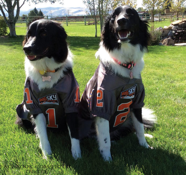 IDAHO STATE’S BEST FRIENDS: BRISTOL AND POKIE ARE, “THE ABSOLUTE BEST IN THE COUNTRY”