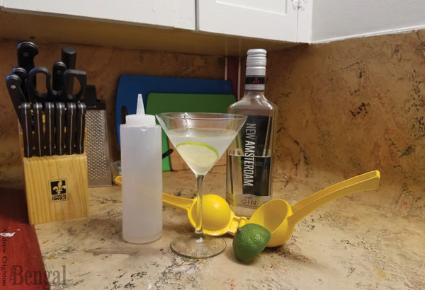 Gimlet cocktail and ingredients.