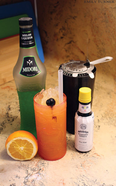 Mango-melon mixer and ingredients