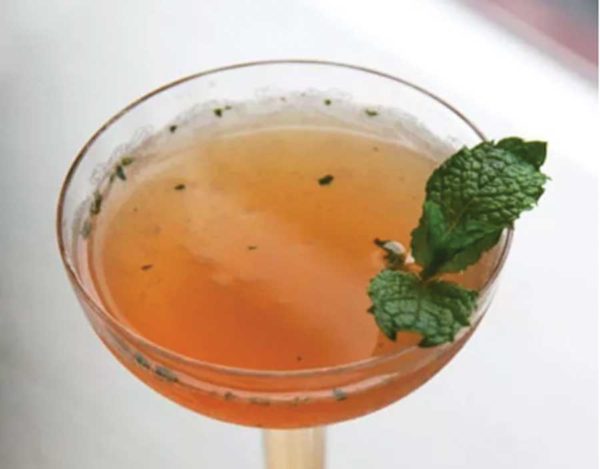 COLLEGE COCKTAIL CONCOCTIONS