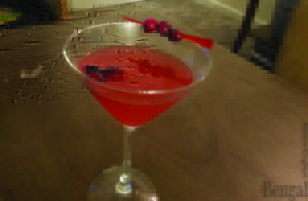 Cranberry and gin cocktail in a martini glass