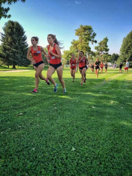 New strategy hopes to foster teamsmanship