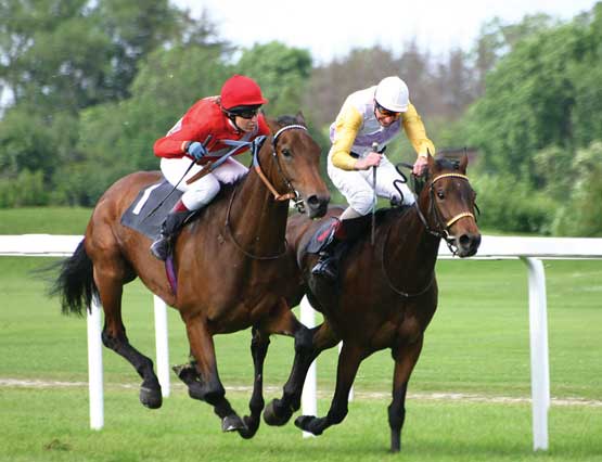 Two jockeys on horses
