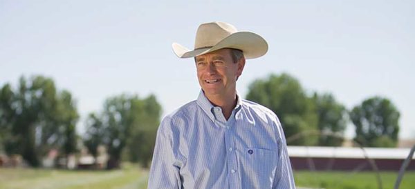 Midterm election roundup