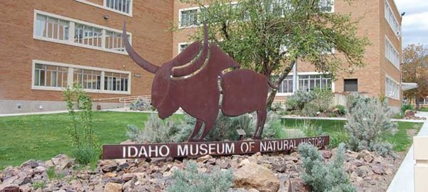 “Incredible Horse” exhibit enters its final months: Museum exhibit set to close in Jan.