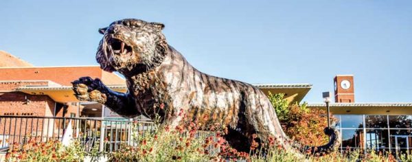 The Identity of ISU’s Bengals