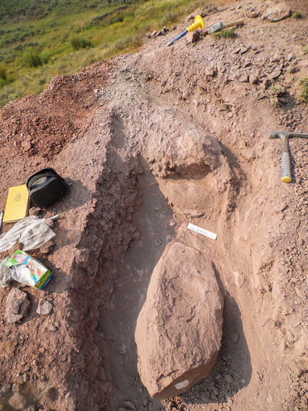 ISU researcher uncovers rare dinosaur burrow