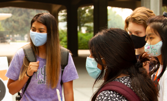 Local Opinions on a Statewide Mask Mandate