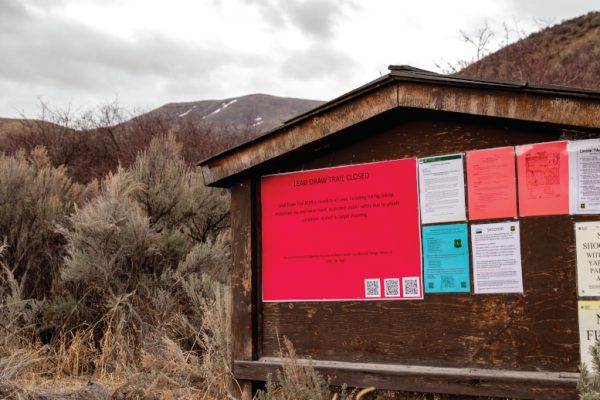 Preserving Access to the Local Trails, A Bengal’s View