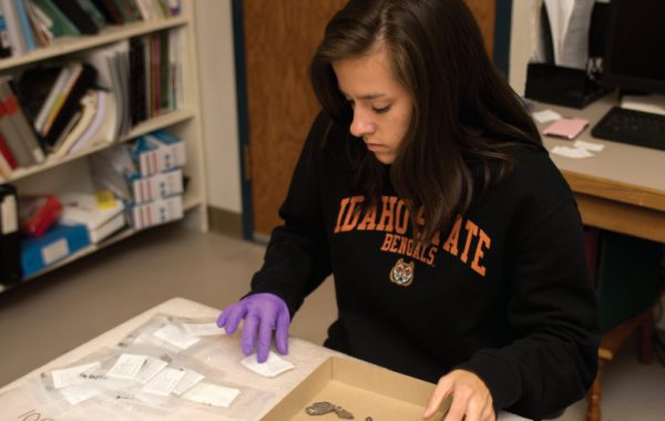 Female student looks down at small items she is sorting from a cardboard box