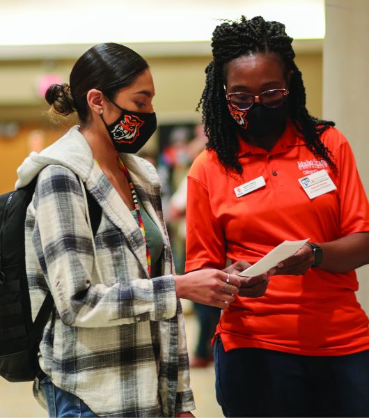 The State of COVID-19 in the Gem State