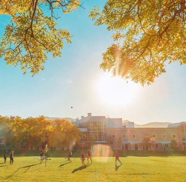 The Leaves are Falling