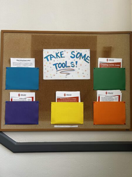 WINTER BLUES: How ISU students and faculty combat seasonal depression