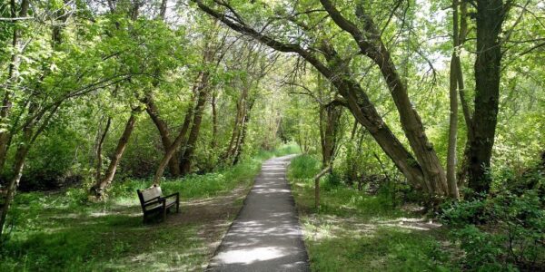 Spring Break in Pocatello: A local escape for students and staff