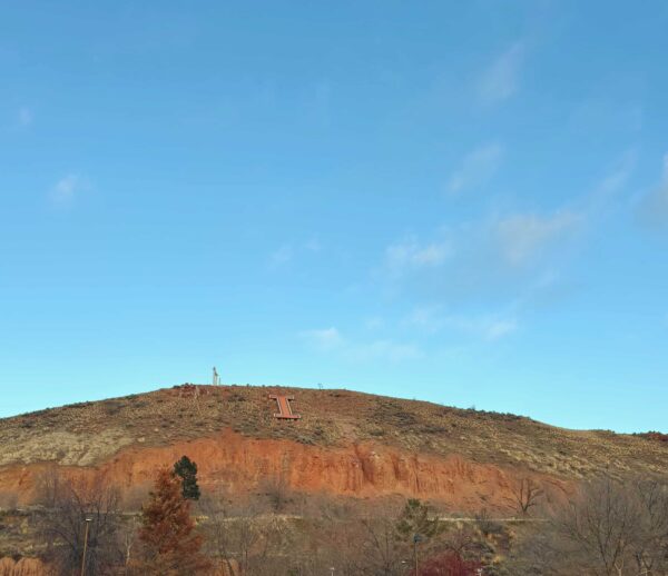 Bloom Out of the Spring Slump!